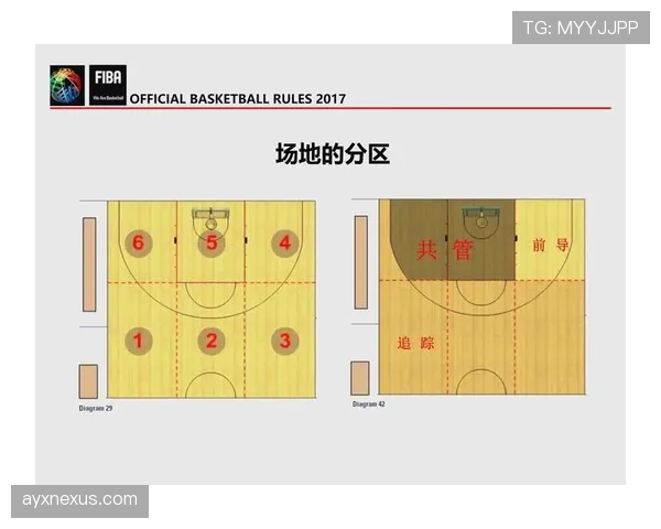 篮球裁判教你:教练技术犯规判罚的完整指南与申诉流程 篮球裁判教你:教练技术犯规判罚的完整指南与申诉流程