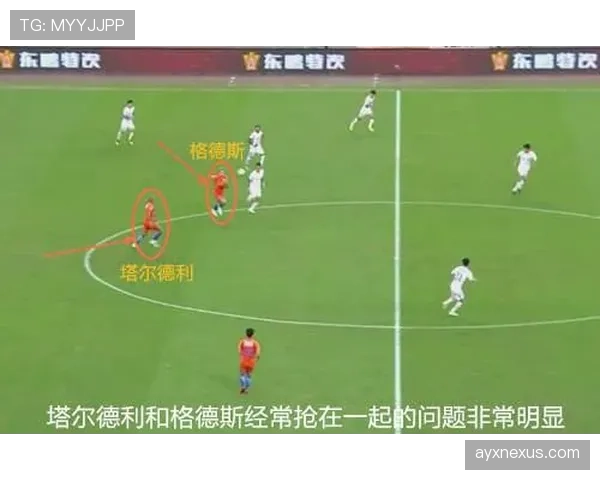 罗德里与坎特的功能分化：体系组织者 vs 单点扫荡者